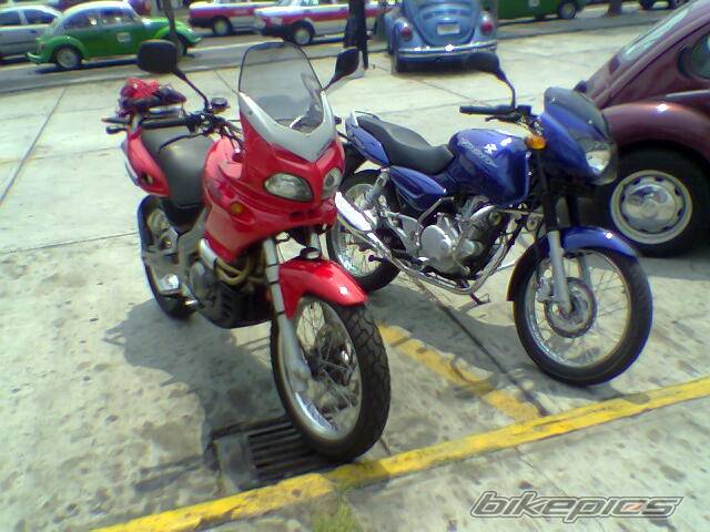 2005 BAJAJ PULSAR 180 | Picture 348743 motorcycle photo