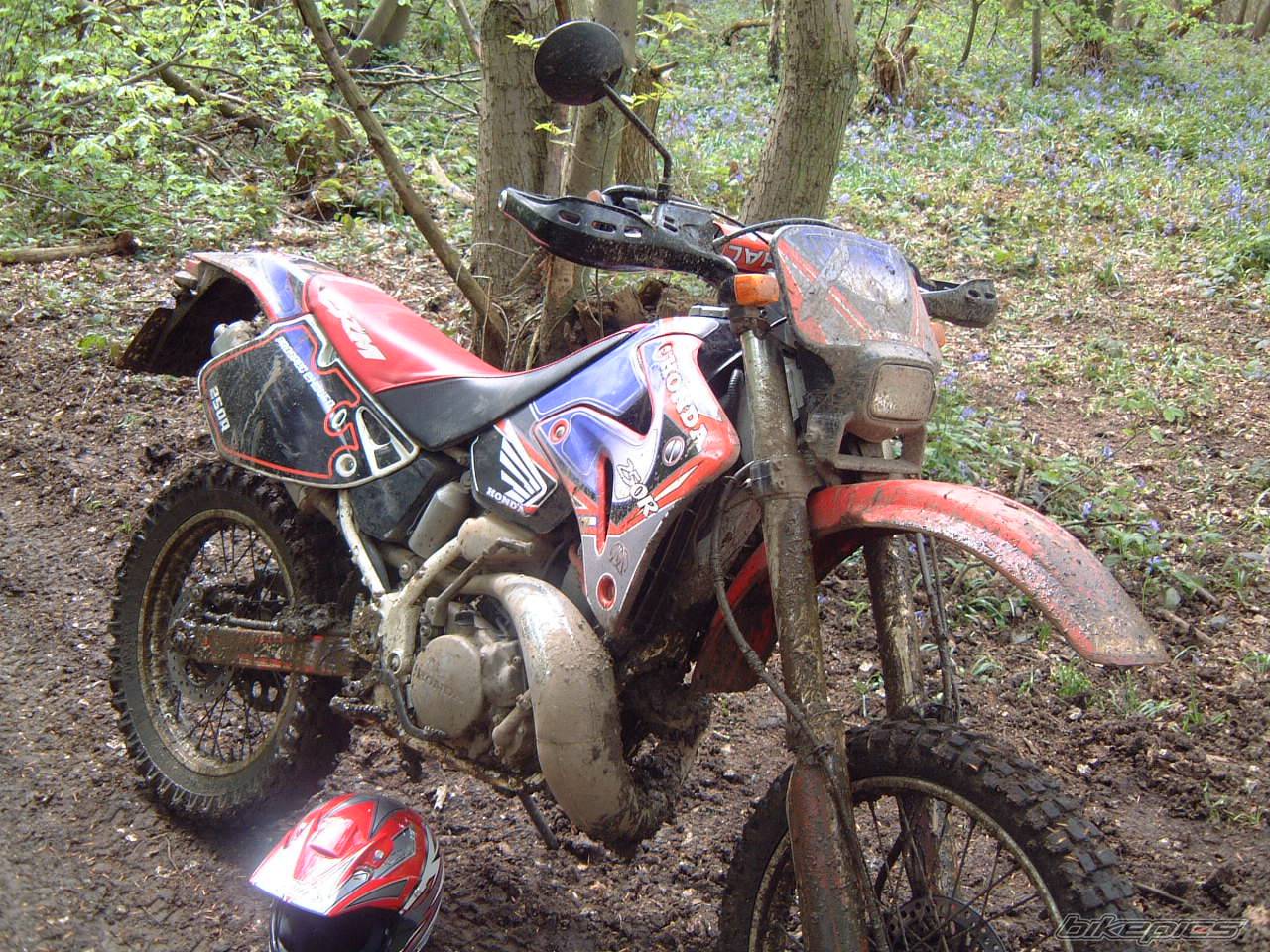 1995 HONDA CRM 250 | Picture 348745 motorcycle photo