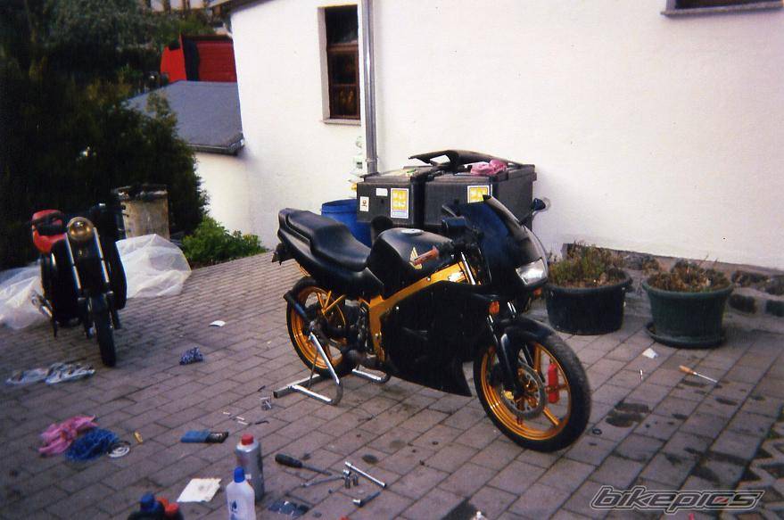 1996 HONDA NS1 80 | Picture 349649 motorcycle photo