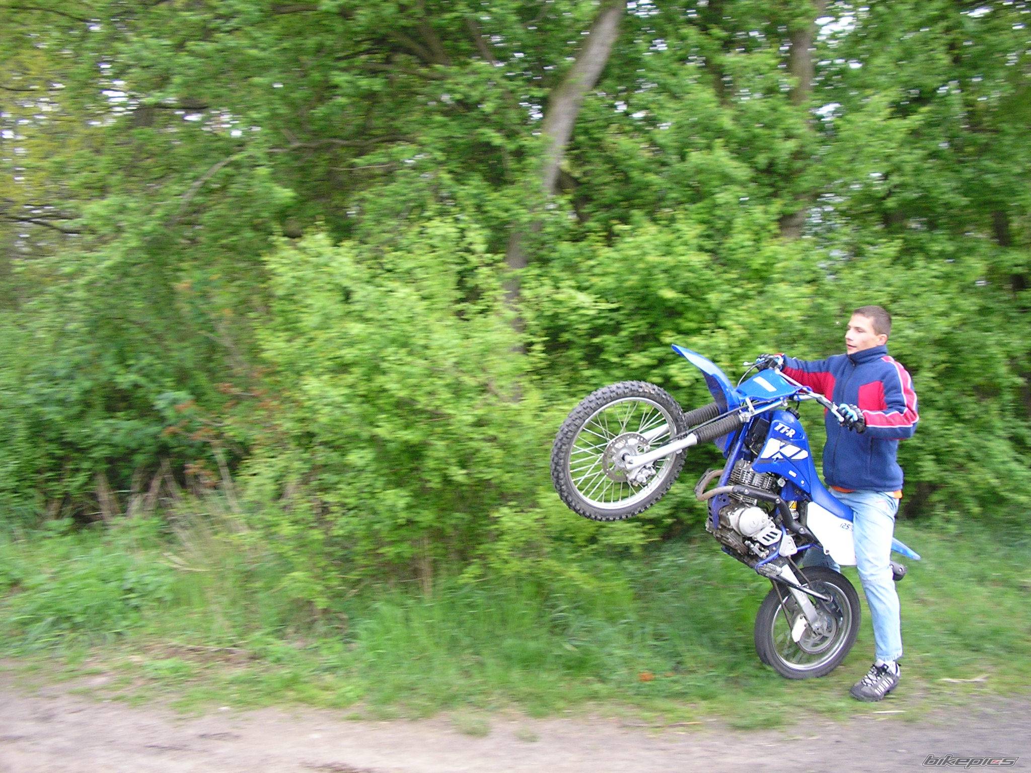 2004 YAMAHA TTR 125 | Picture 349653 motorcycle photo