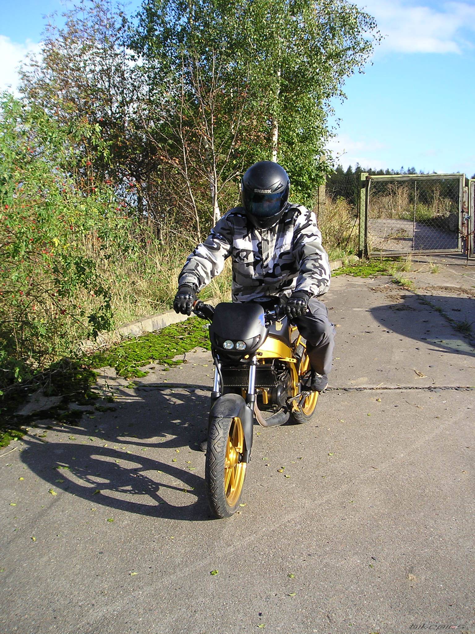 1996 HONDA NS1 80 | Picture 349654 motorcycle photo