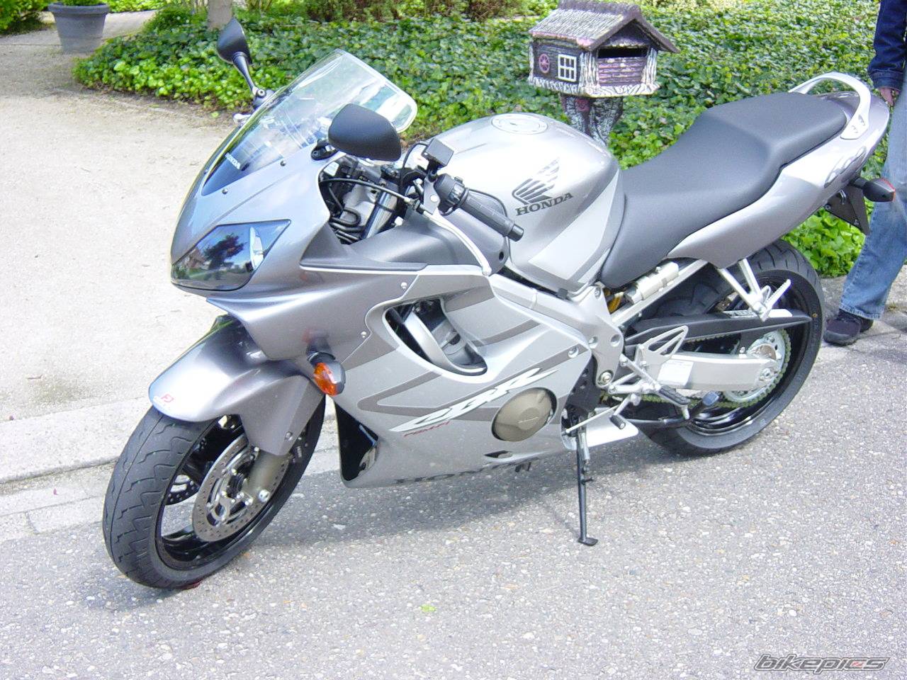 2005 HONDA CBR 600 | Picture 350074 motorcycle photo