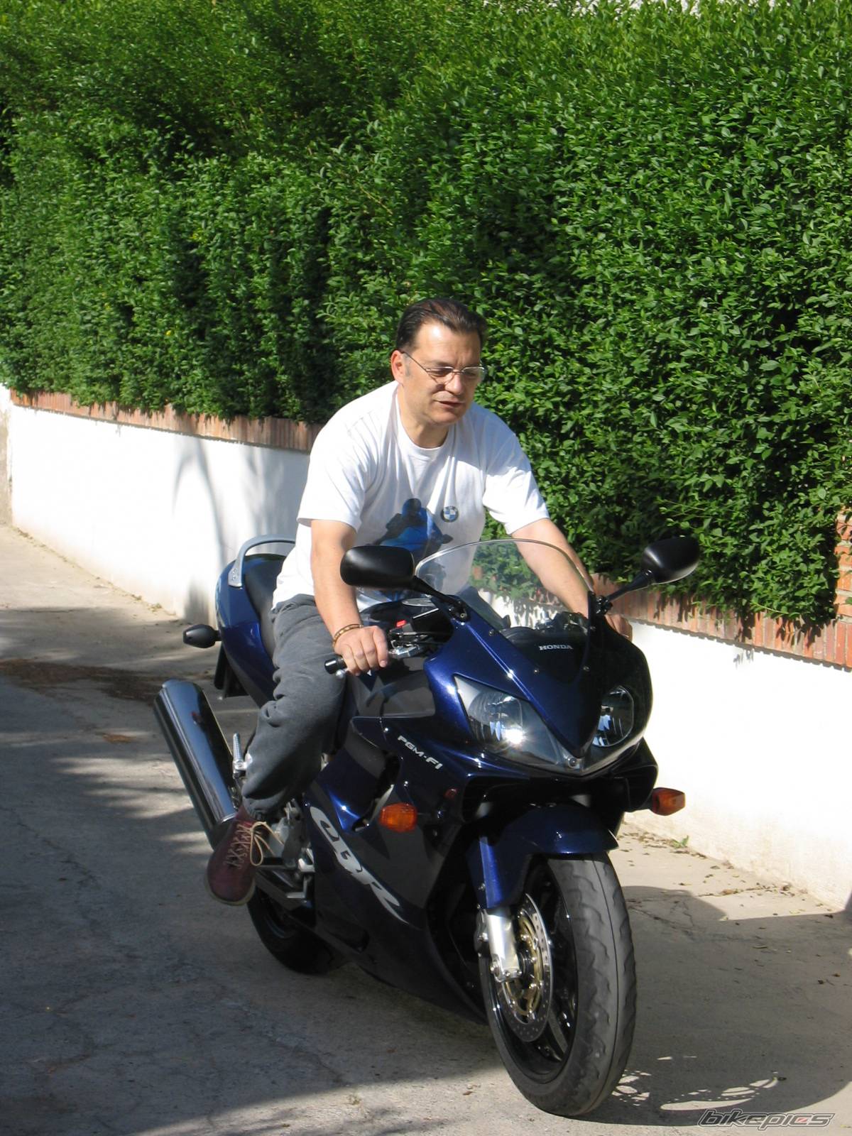 2002 HONDA CBR 600 | Picture 350464 motorcycle photo