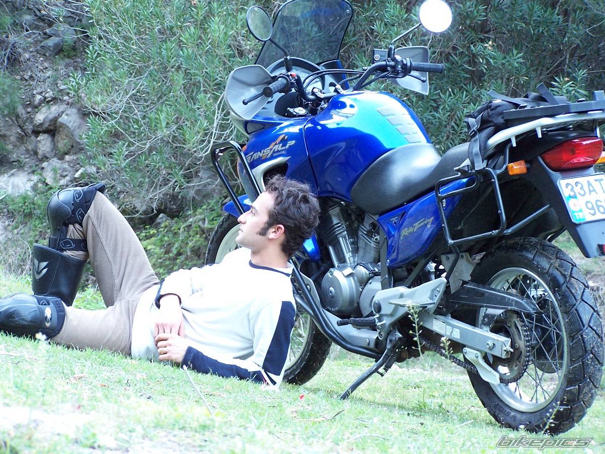 2001 HONDA XL 650V TRANSALP | Picture 350475 motorcycle photo