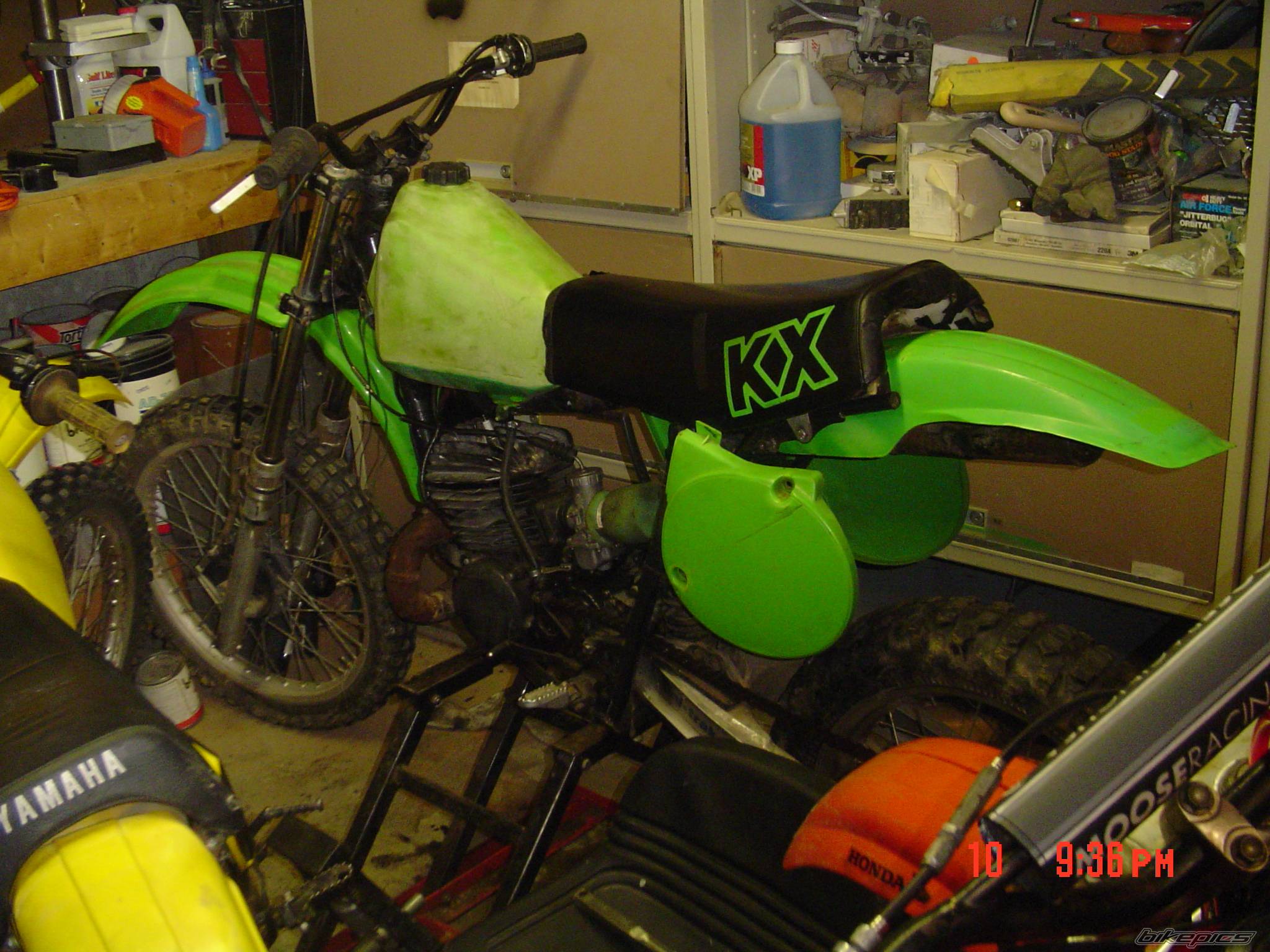1981 KAWASAKI KX 250 | Picture 350592 motorcycle photo