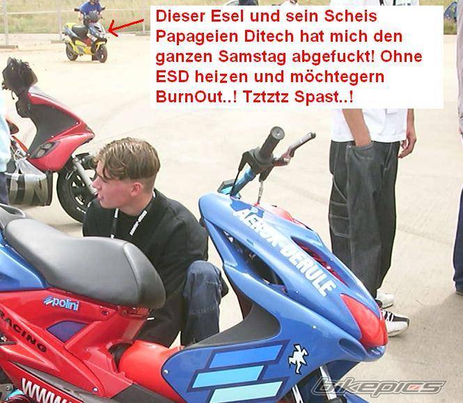 2002 APRILIA SR 50 | Picture 35061 motorcycle photo