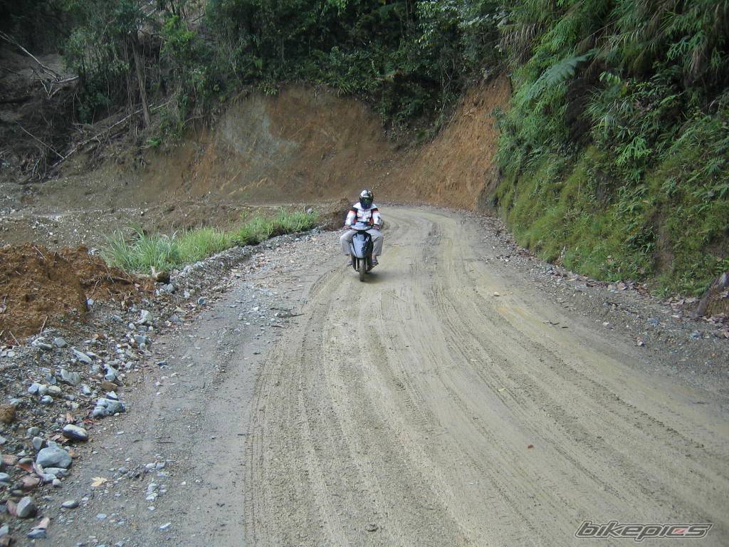 2005 HONDA DIO ZX | Picture 350870 motorcycle photo