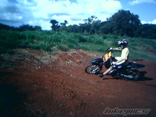 2005 HONDA XR 250 | Picture 351231 motorcycle photo