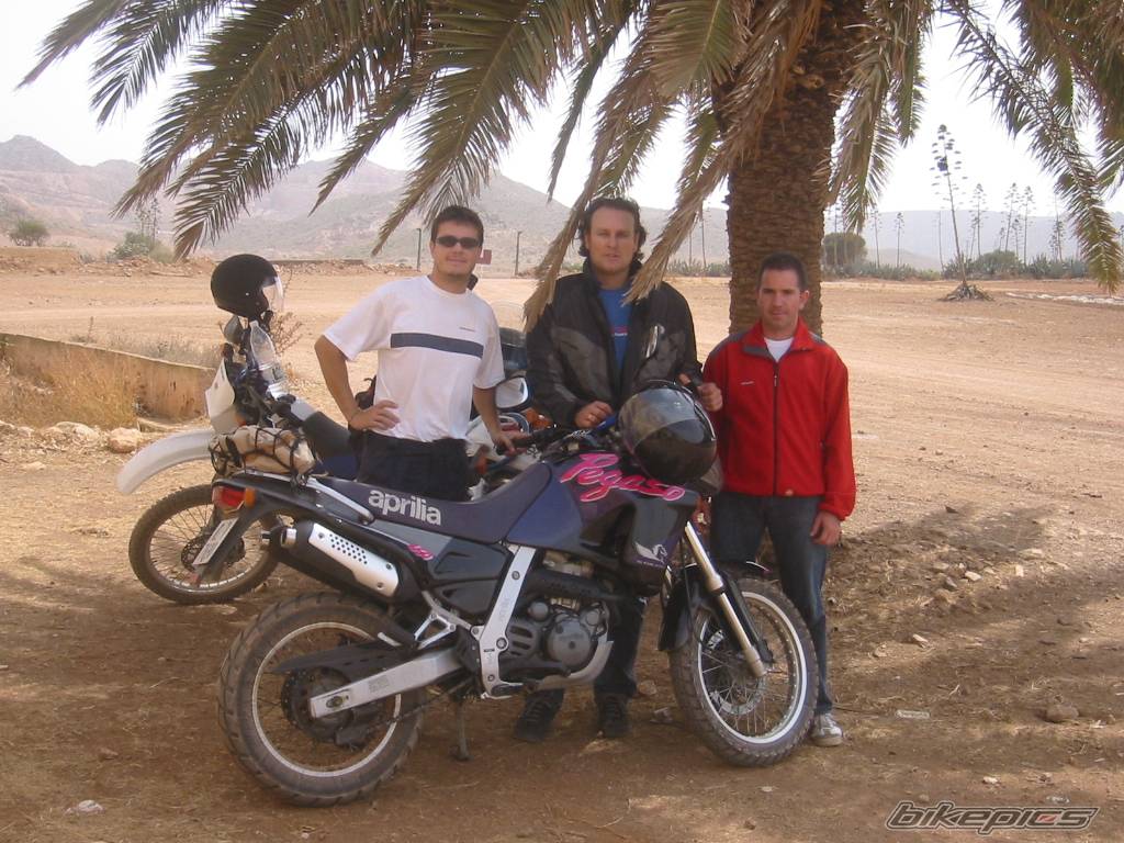1999 SUZUKI DR 350 | Picture 351287 motorcycle photo