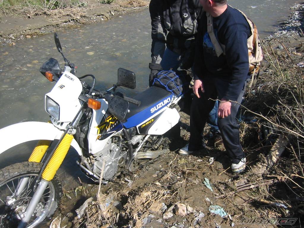 1999 SUZUKI DR 350 | Picture 351291 motorcycle photo