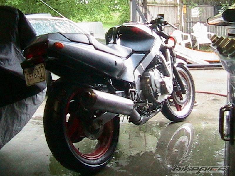 1988 HONDA CBR 600 | Picture 351330 motorcycle photo