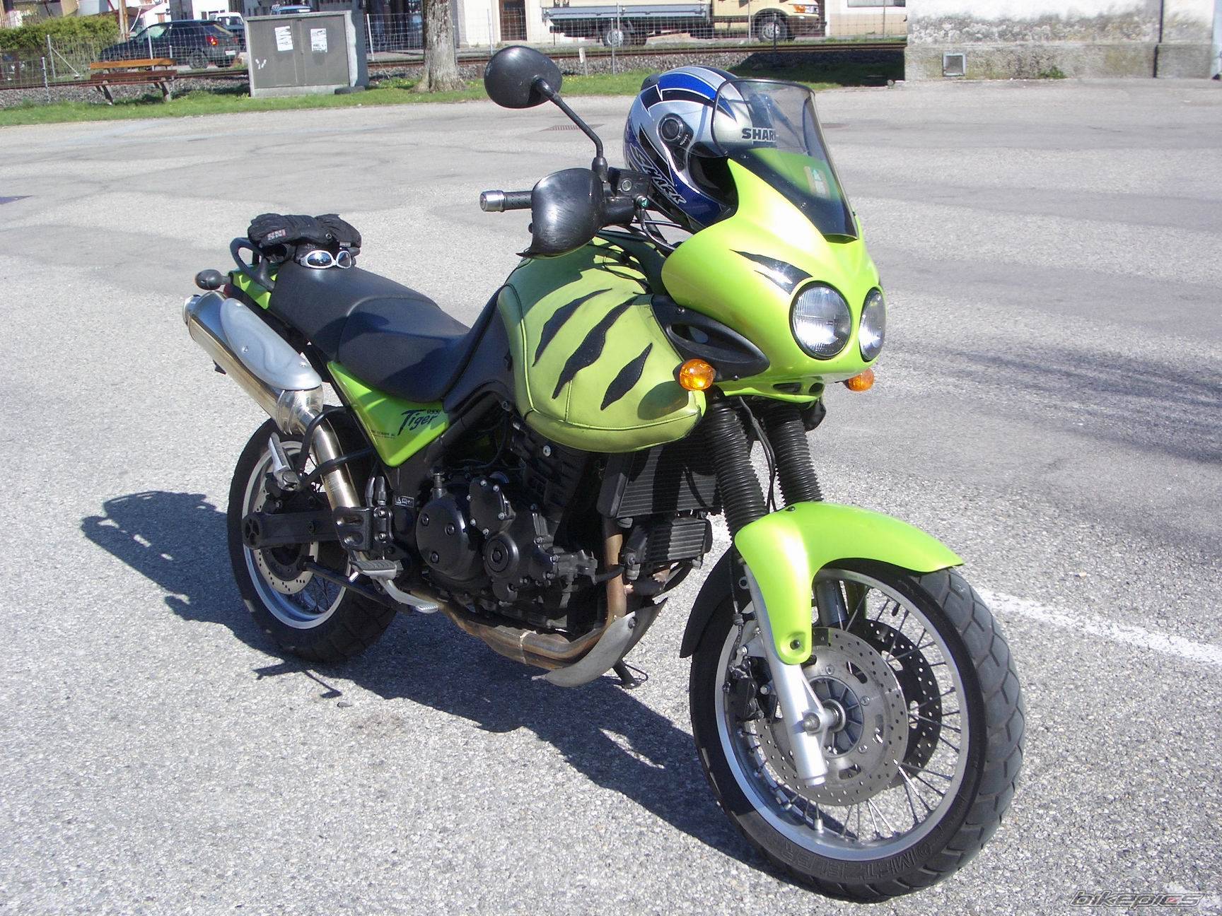 2001 TRIUMPH TIGER | Picture 351445 motorcycle photo