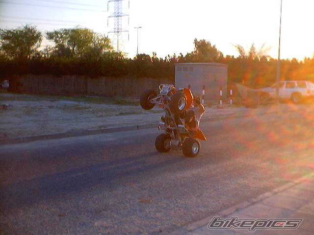 2001 YAMAHA BANSHEE | Picture 35152 motorcycle photo