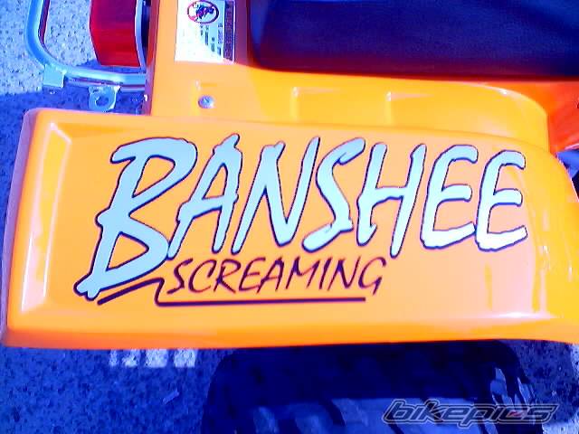2001 YAMAHA BANSHEE | Picture 35153 motorcycle photo