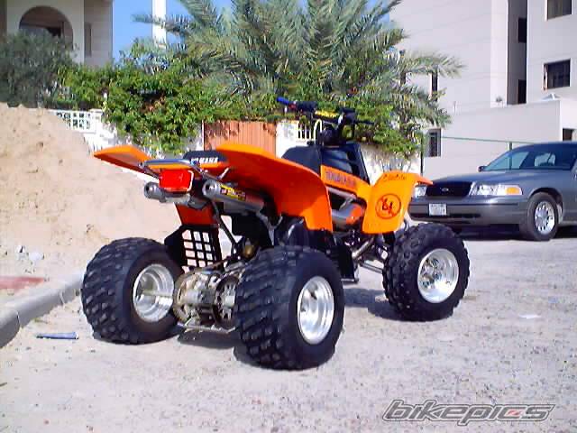 2001 YAMAHA BANSHEE | Picture 35154 motorcycle photo