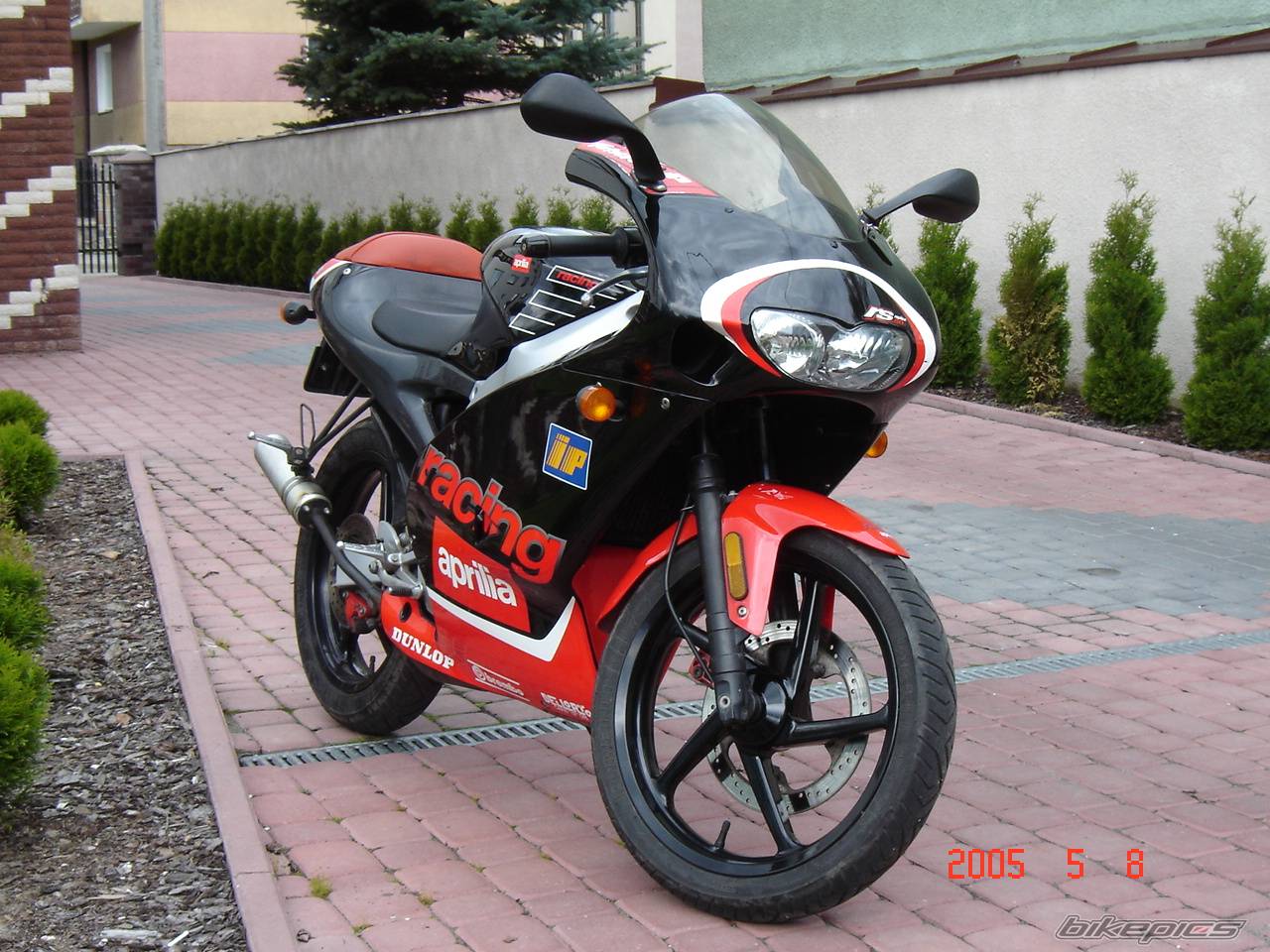 2002 APRILIA RS 50 | Picture 351847 motorcycle photo