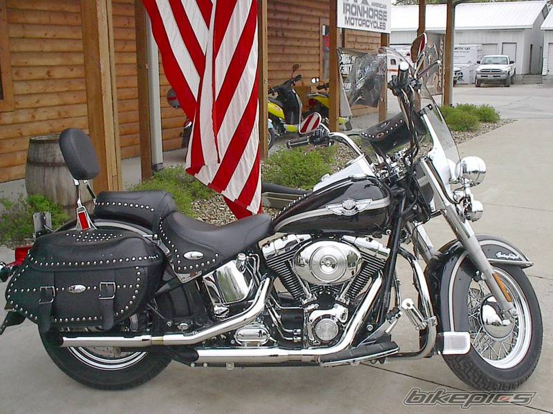 2003 HARLEY DAVIDSON FXSTC | Picture 352085 motorcycle photo