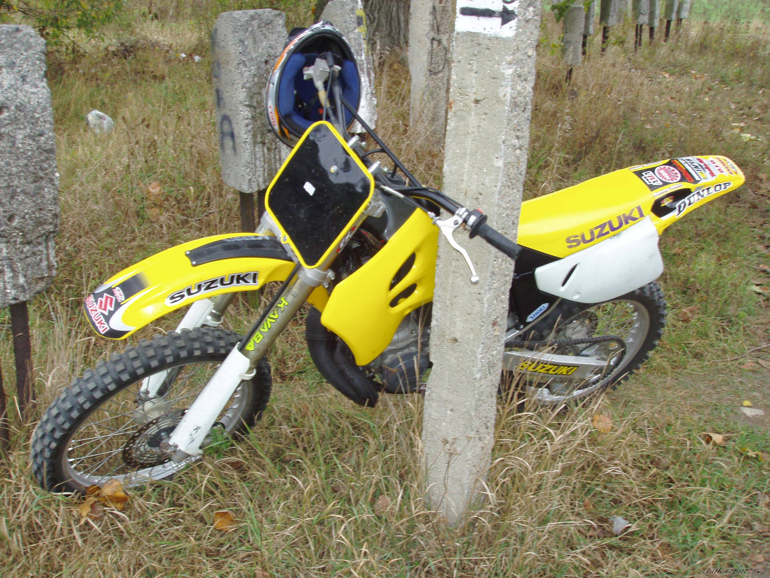 1995 SUZUKI RM 250 | Picture 352167 motorcycle photo