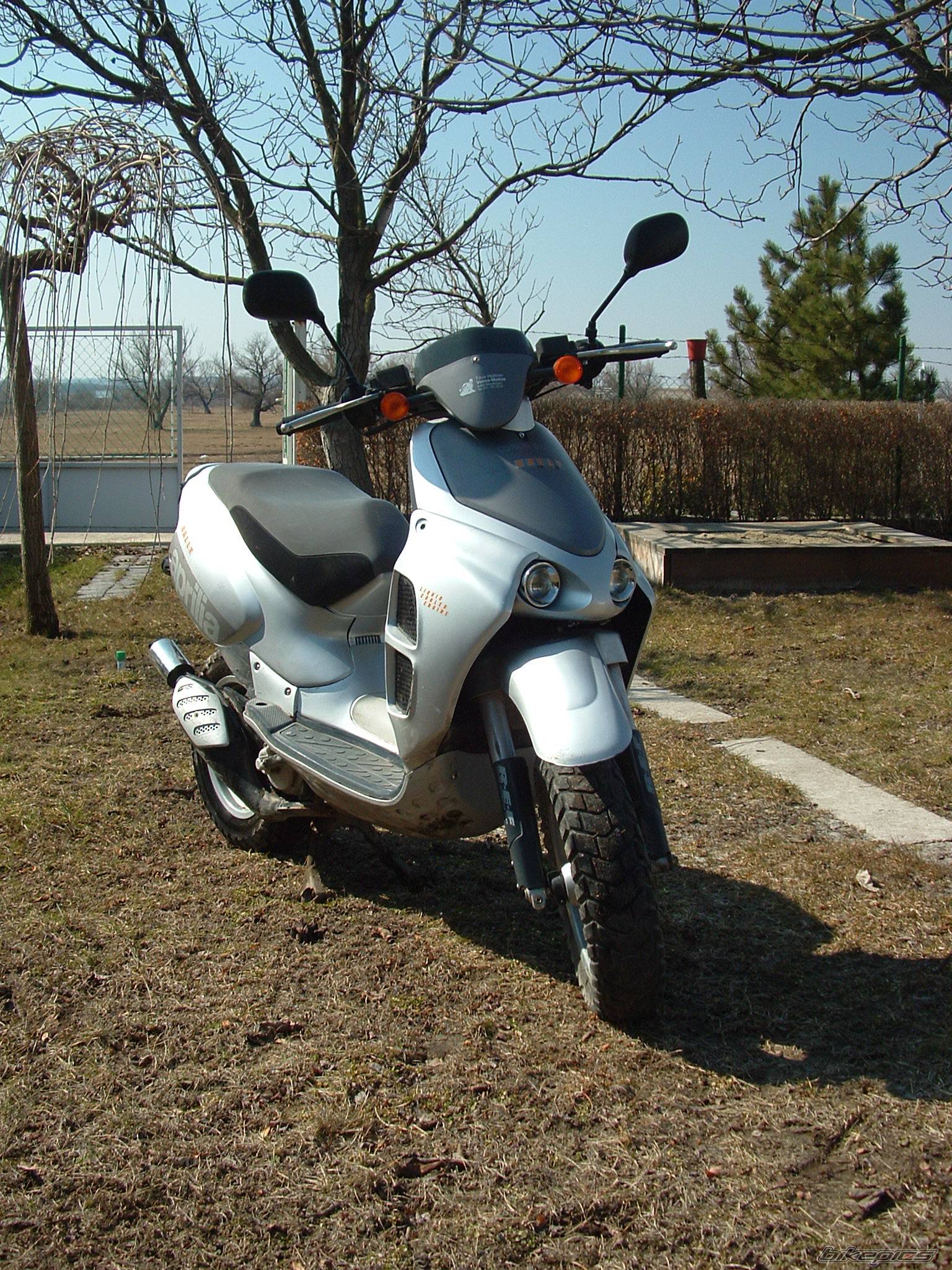 1998 APRILIA RALLY 50 | Picture 353699 motorcycle photo