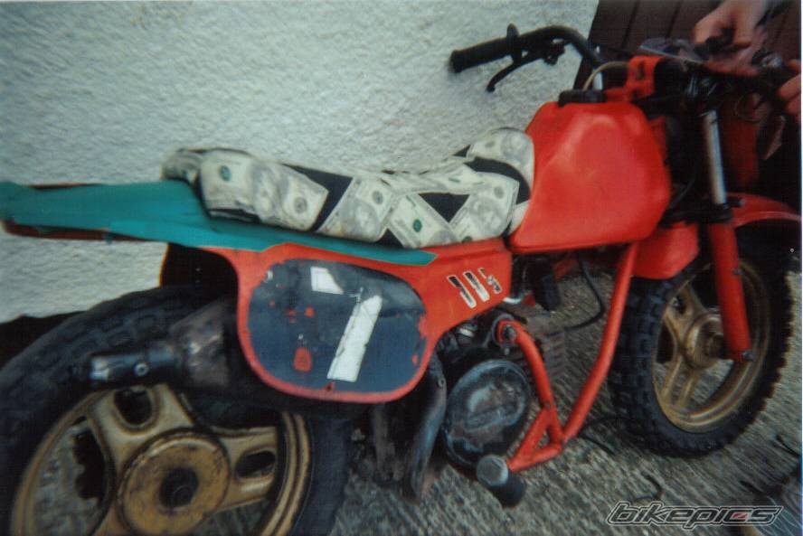 1983 HONDA QR 50 | Picture 353809 motorcycle photo