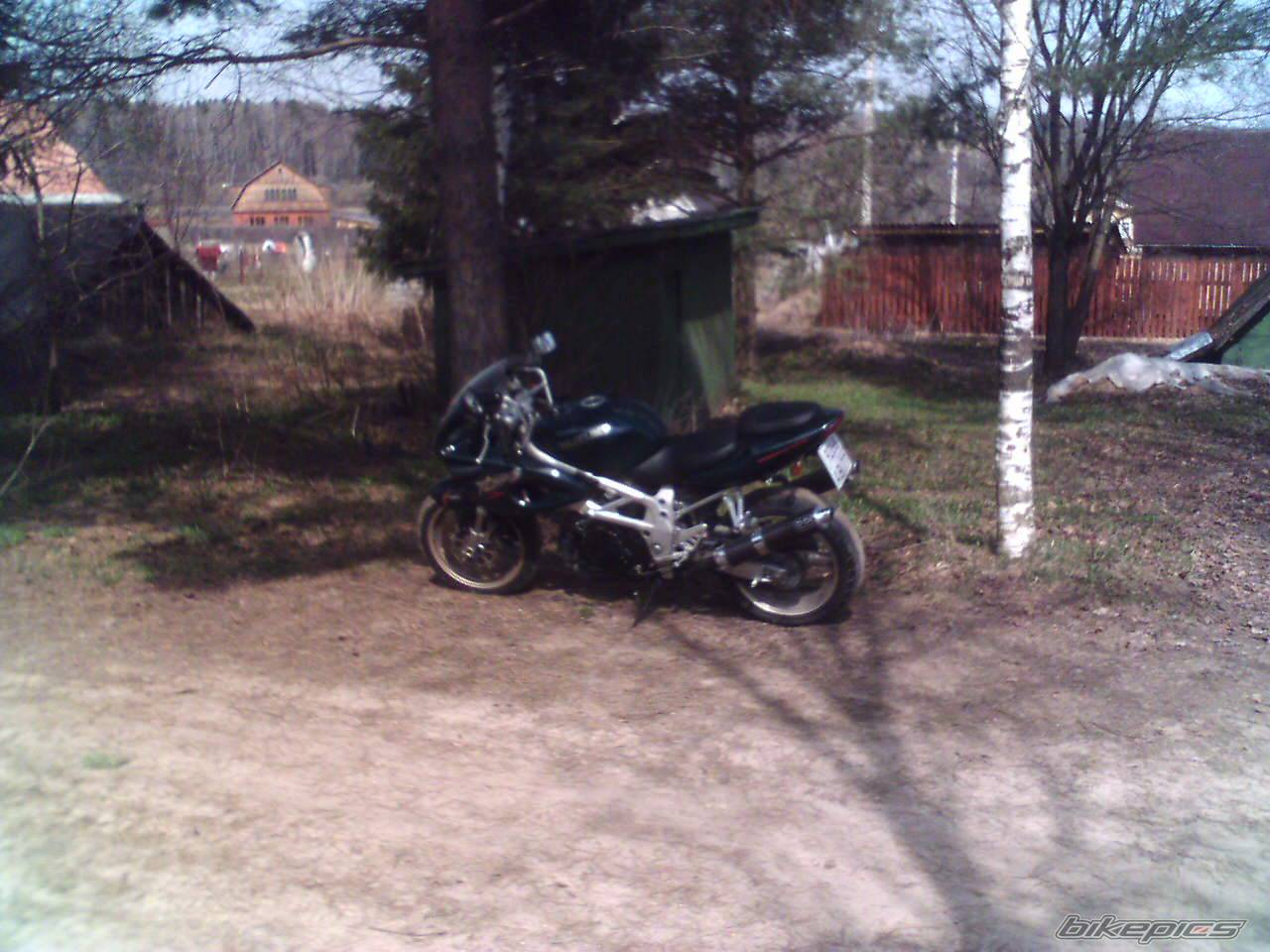 1997 SUZUKI TL1000S | Picture 353870 motorcycle photo