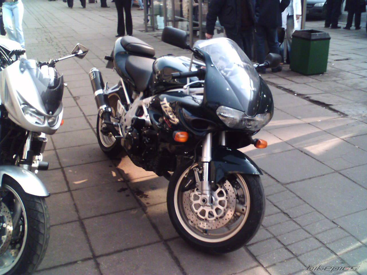 1997 SUZUKI TL1000S | Picture 353889 motorcycle photo
