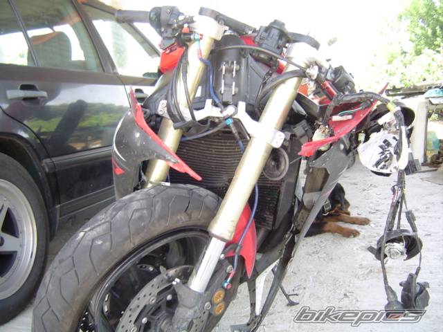 2003 YAMAHA YZF R1 | Picture 354138 motorcycle photo