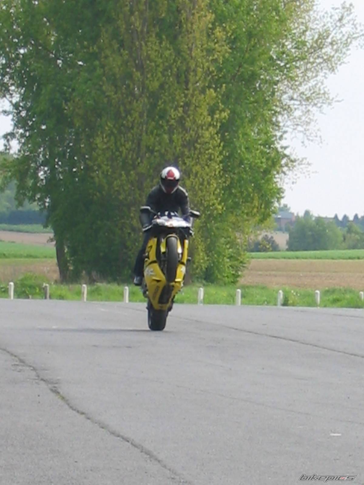 2003 HONDA CBR 900 | Picture 354597 motorcycle photo