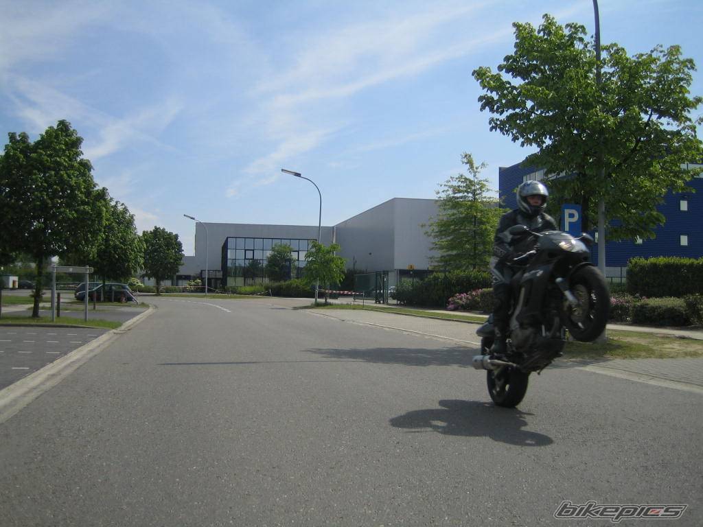 2003 HONDA VTR 1000 | Picture 355055 motorcycle photo