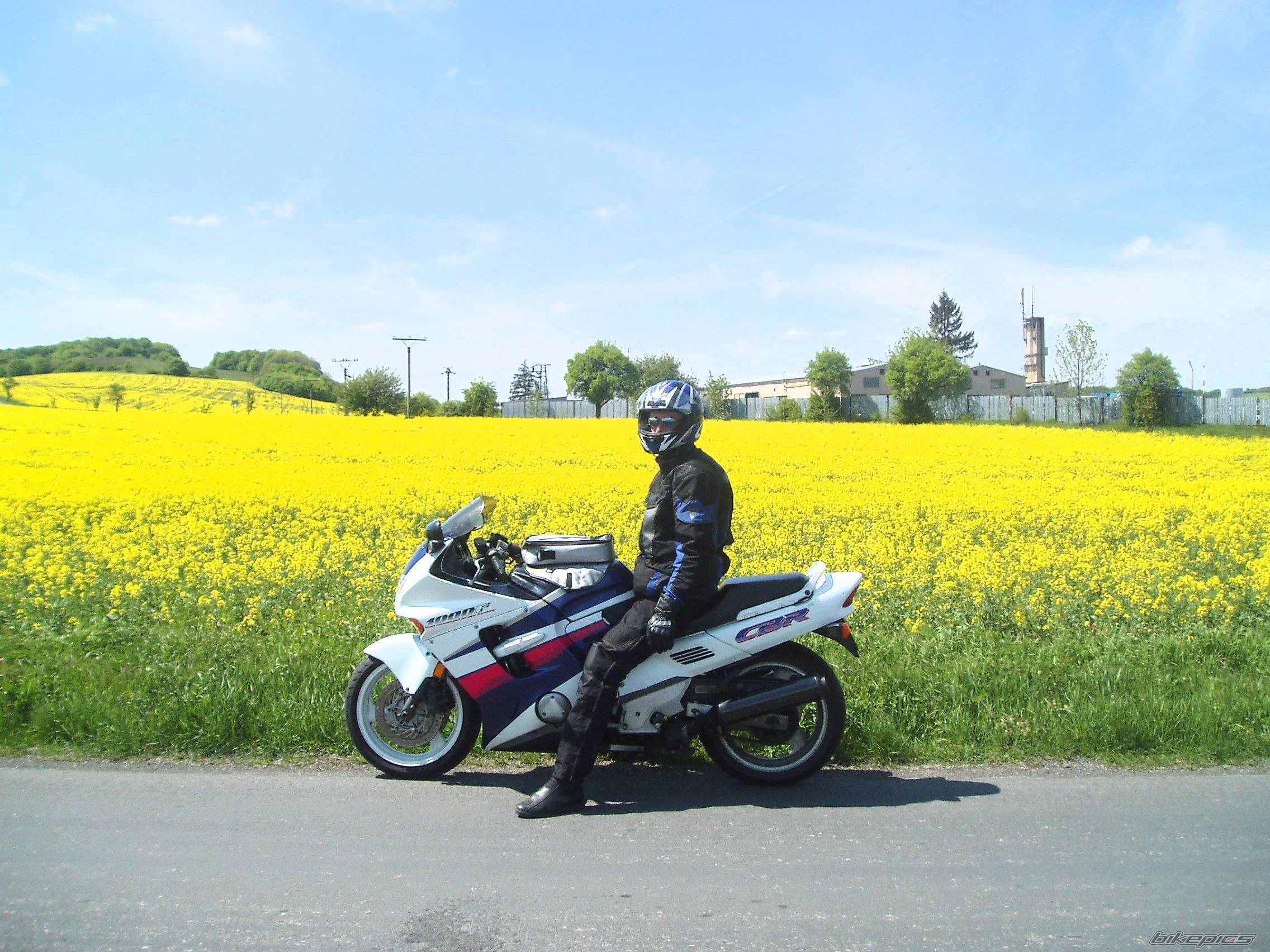 2002 YAMAHA BULLDOG | Picture 355234 motorcycle photo