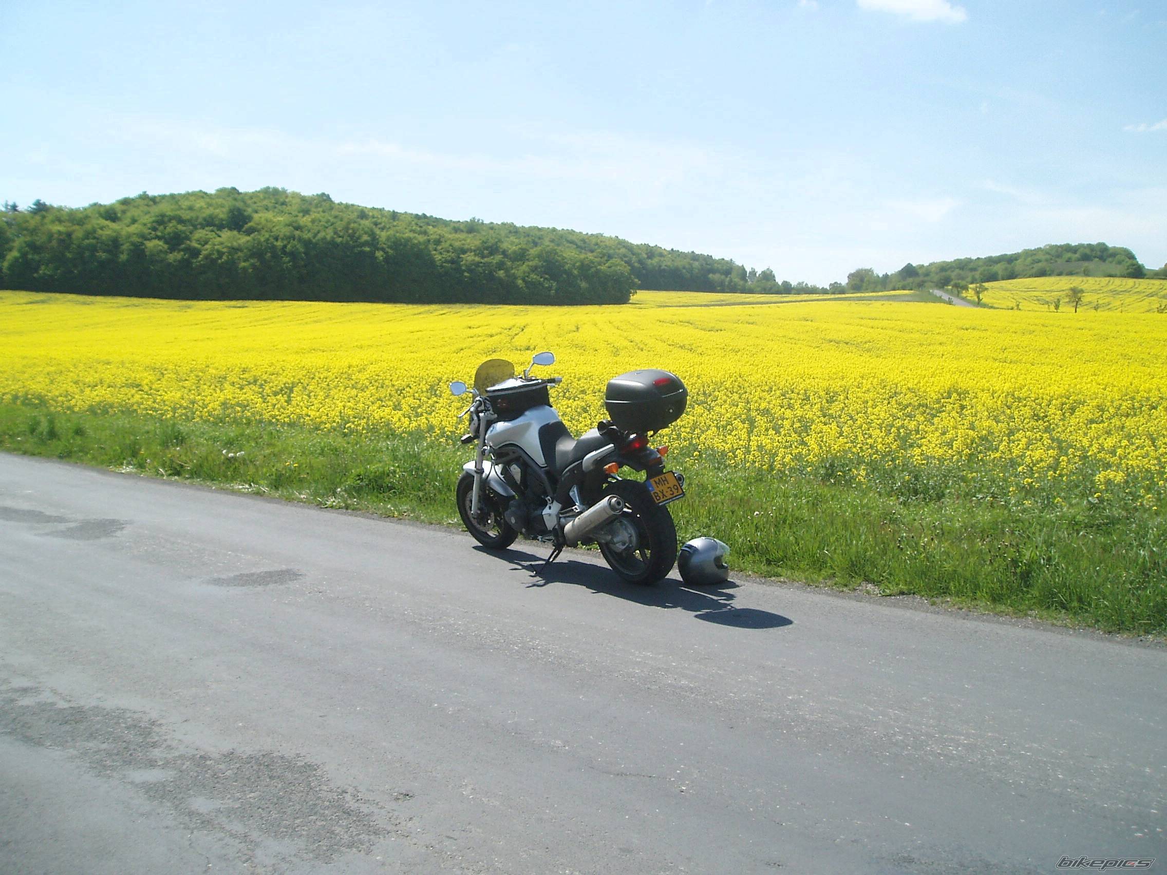 2002 YAMAHA BULLDOG | Picture 355235 motorcycle photo