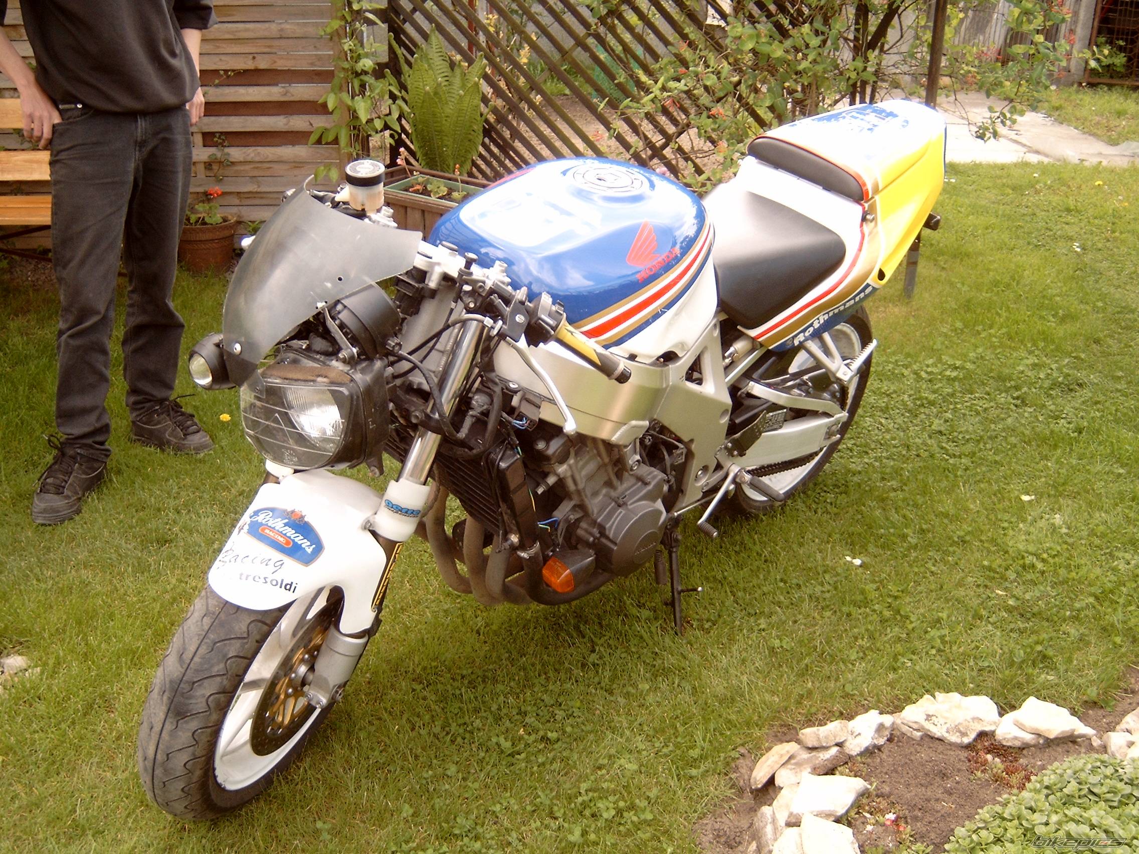 1995 HONDA CBR 900 | Picture 355301 motorcycle photo