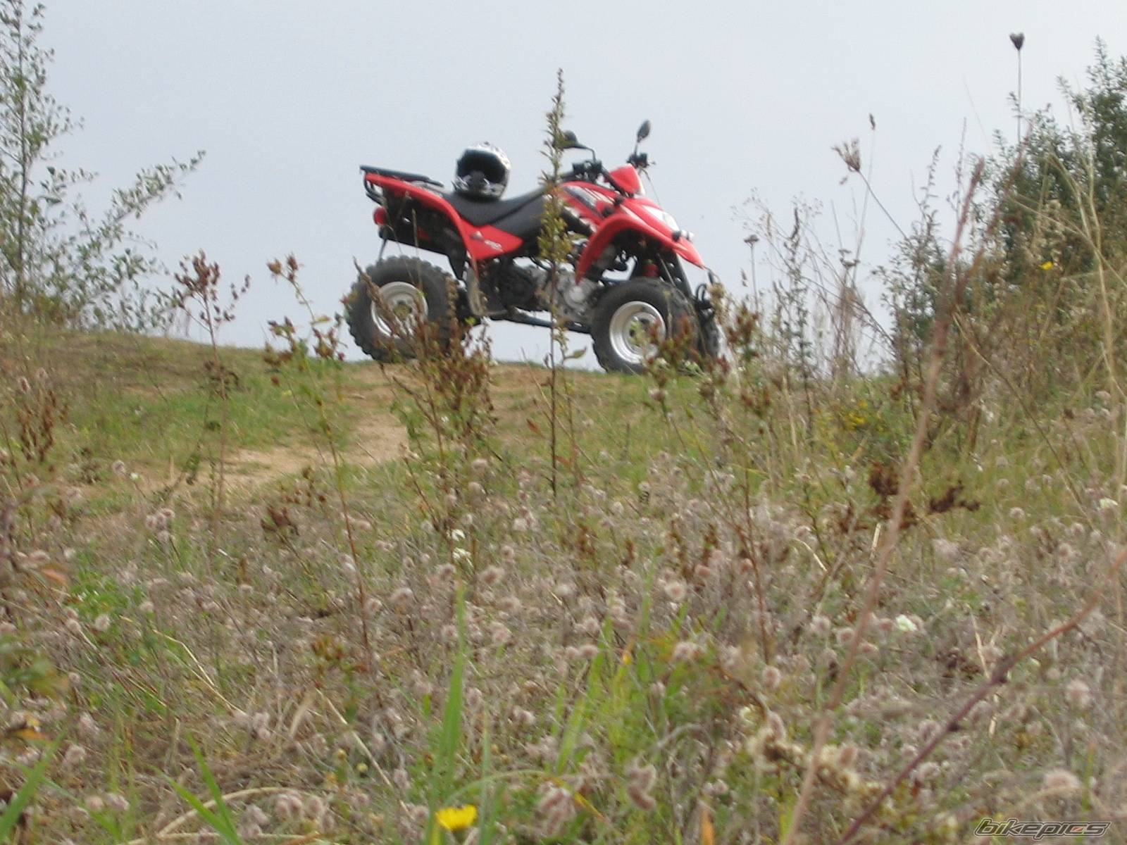 2004 KYMCO KXR 250 | Picture 355333 motorcycle photo