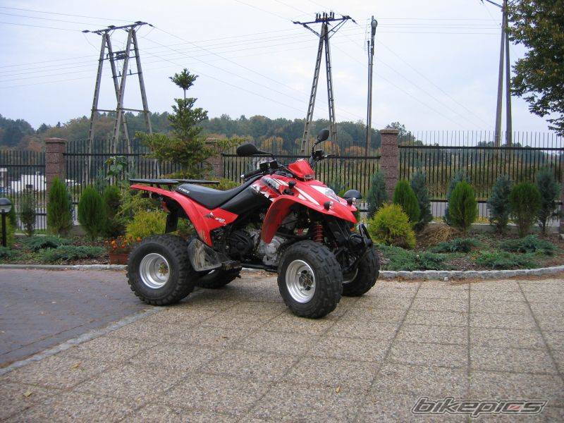 2004 KYMCO KXR 250 | Picture 355336 motorcycle photo