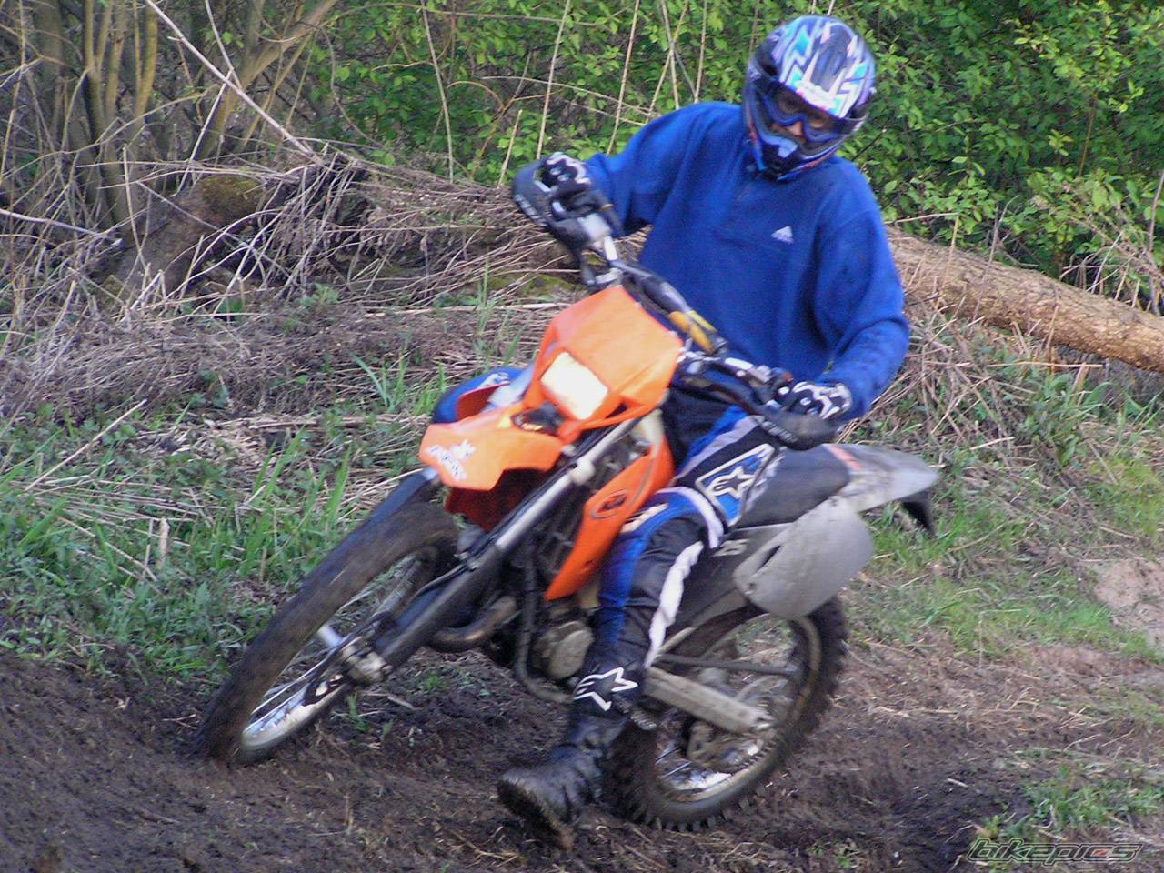 2001 KTM 125 EXC | Picture 355548 motorcycle photo