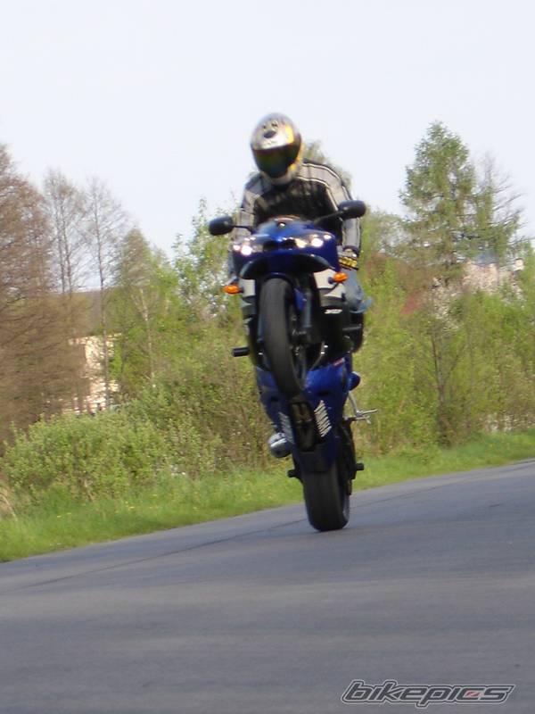 2003 YAMAHA YZF R6 | Picture 355653 motorcycle photo