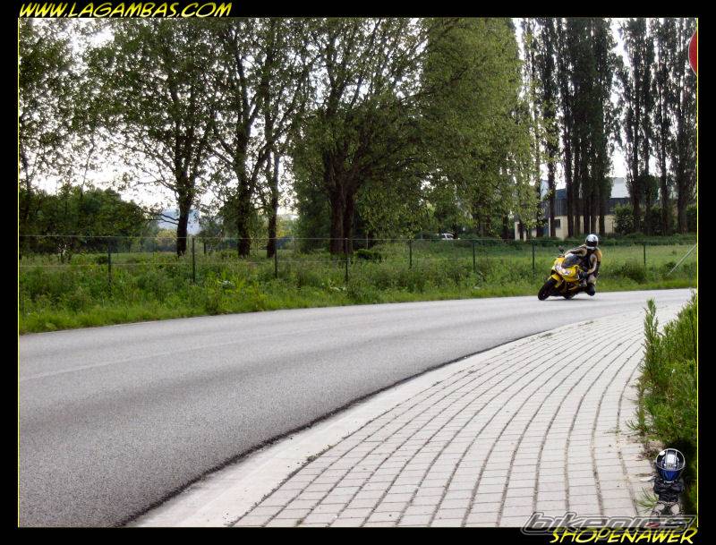 2001 HONDA CBR 900 | Picture 355668 motorcycle photo