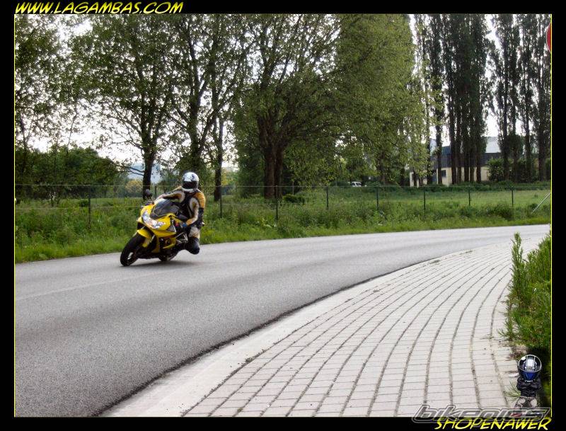2001 HONDA CBR 900 | Picture 355669 motorcycle photo