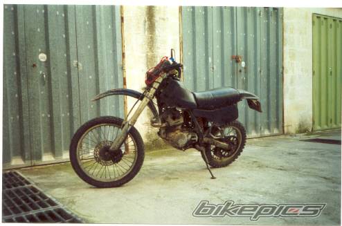 1982 HONDA XR 250 | Picture 355720 motorcycle photo