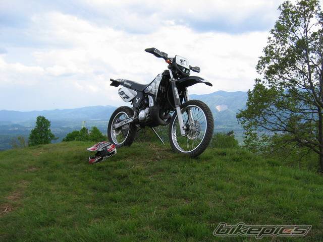 2005 YAMAHA DT 125 | Picture 355792 motorcycle photo