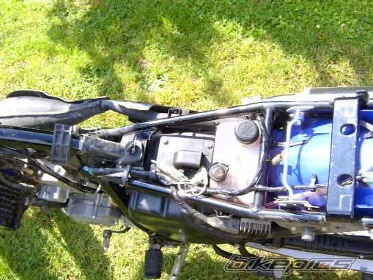 2001 KAWASAKI KMX 125 | Picture 355890 motorcycle photo