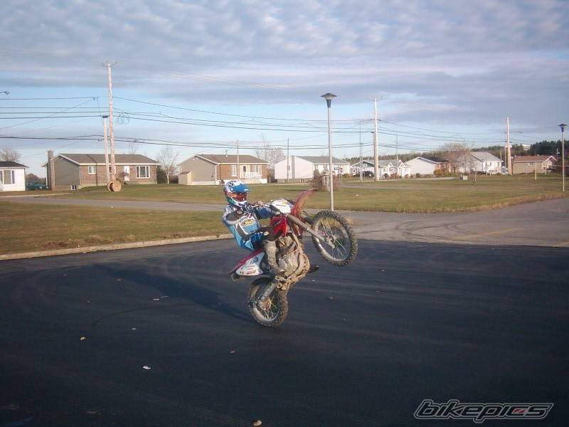 2004 HONDA CRF 150 | Picture 356149 motorcycle photo