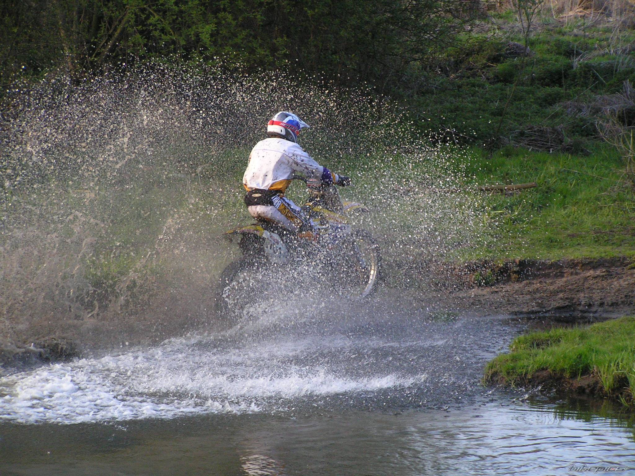 2000 SUZUKI RM 125 | Picture 356219 motorcycle photo