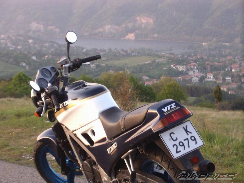 1988 HONDA VTZ 250 | Picture 356331 motorcycle photo