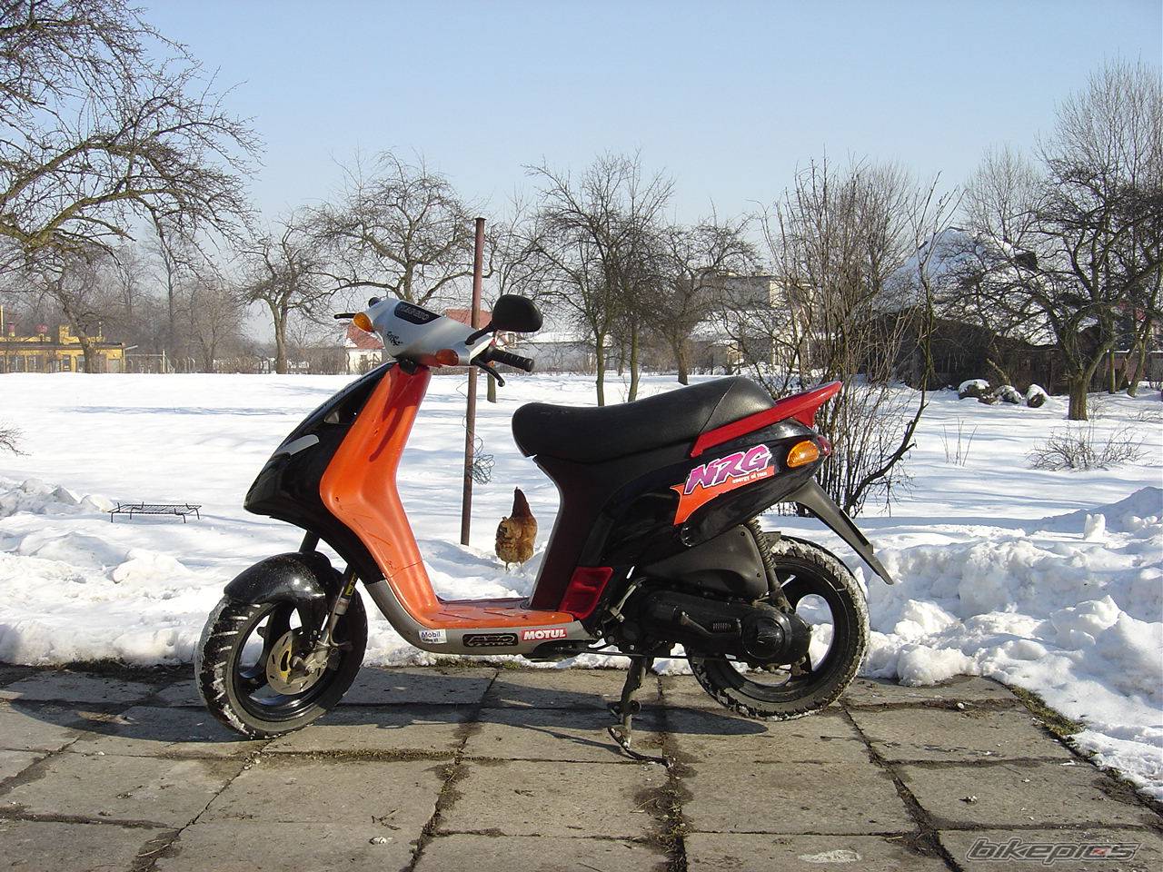 1994 PIAGGIO NRG | Picture 356721 motorcycle photo