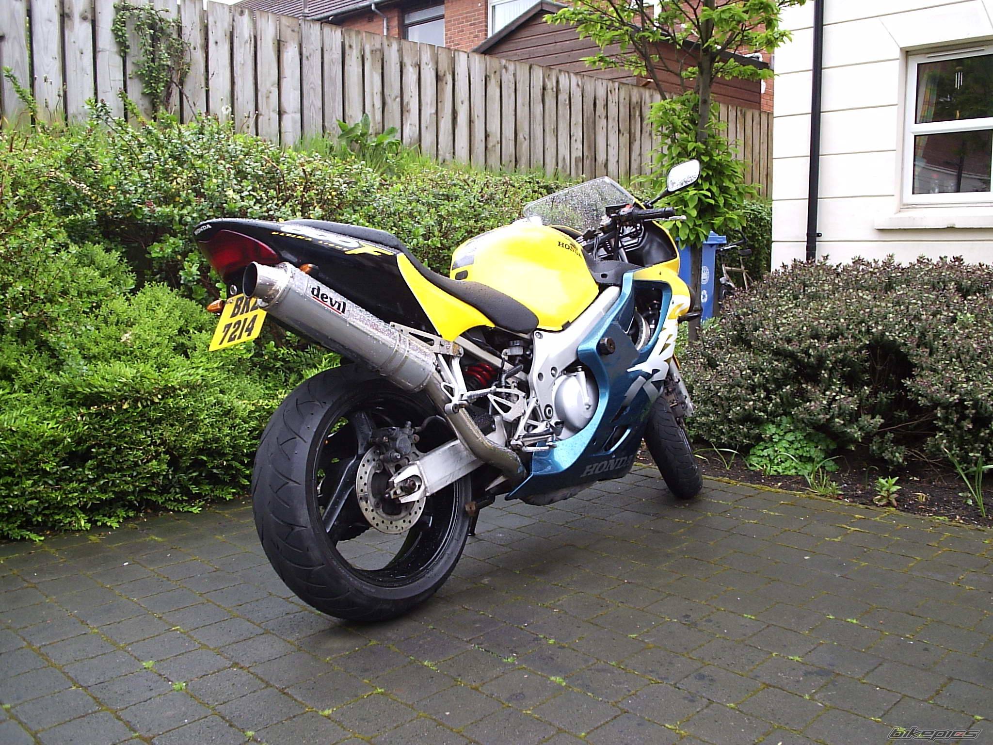 1999 HONDA CBR 600 | Picture 356843 motorcycle photo