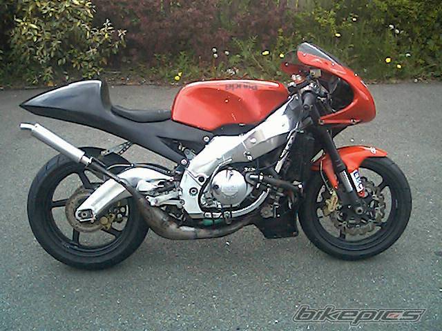 1995 APRILIA RS 250 | Picture 357138 motorcycle photo