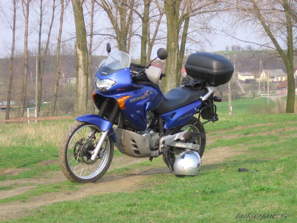 2000 HONDA XL 650V TRANSALP | Picture 357814 motorcycle photo