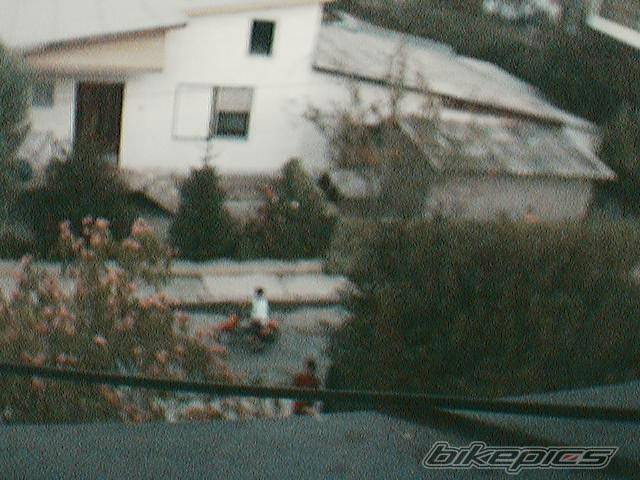 1995 HONDA CR 80 | Picture 35789 motorcycle photo
