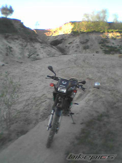 1993 HONDA NX 125 | Picture 357916 motorcycle photo